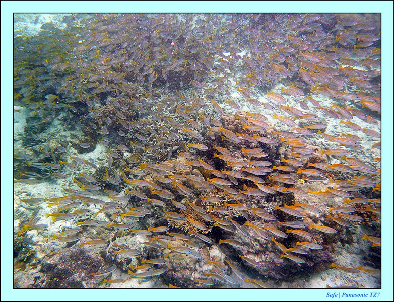 2011 - 08 - Bohey Dulang Island 18